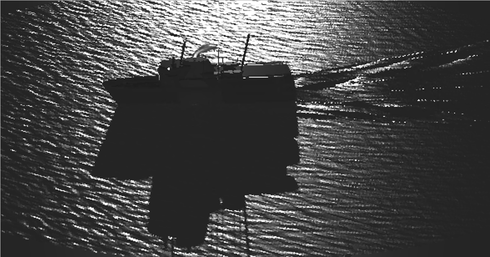 Sea Surface Variability